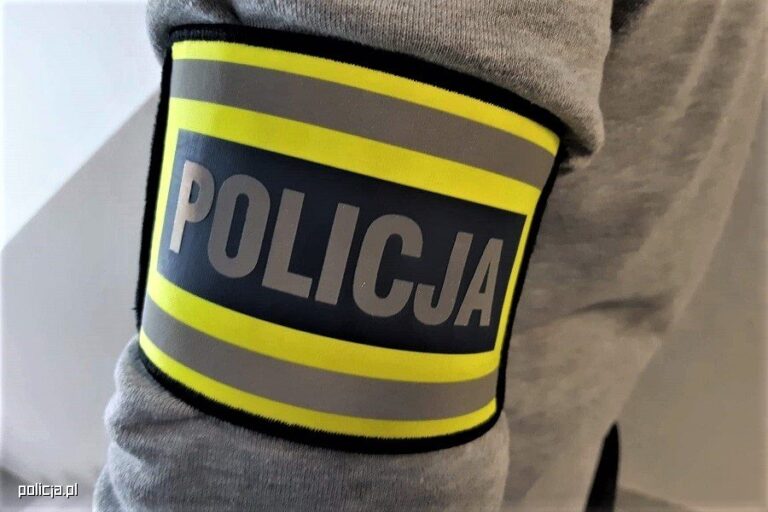 15-latek odpowie za 109 czynów karalnych w sieci - Paragraf