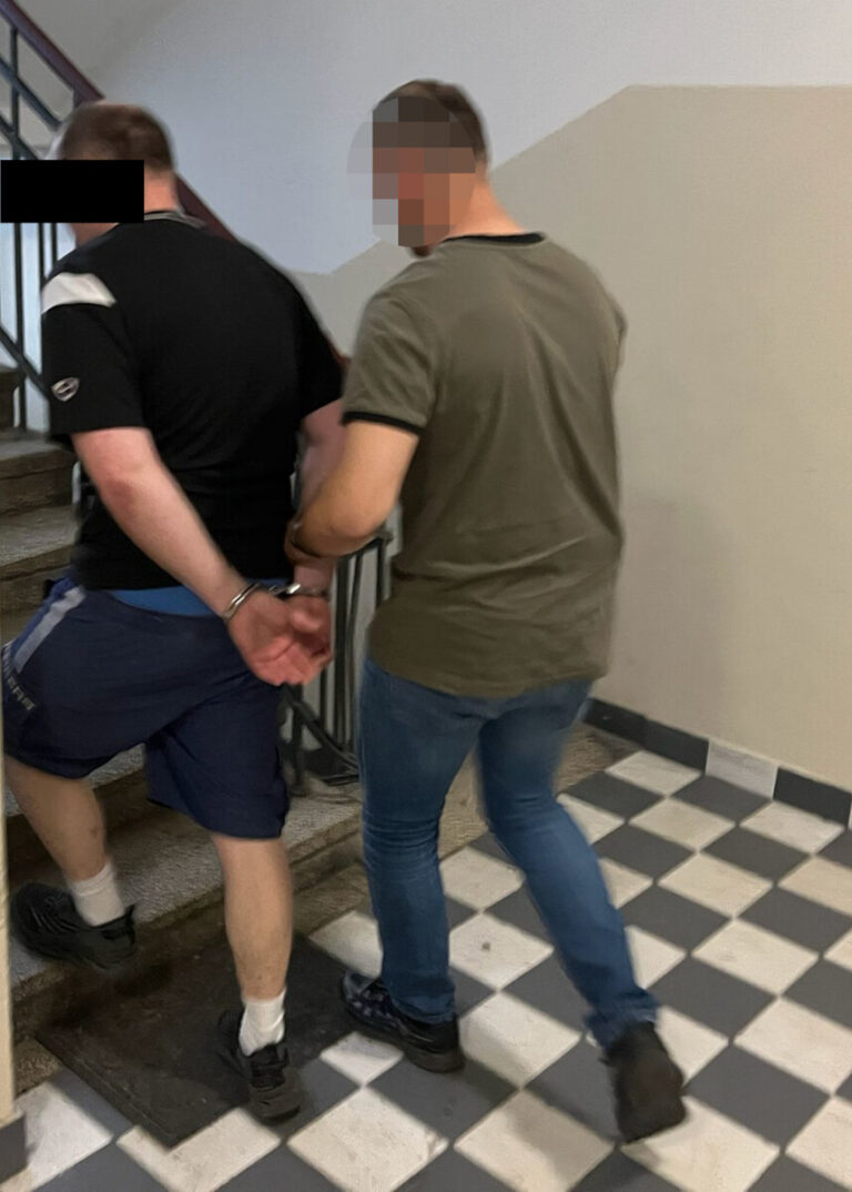 Zuchwałe kradzieże: Policjant zatrzymał 41-latka podejrzanego o 10 przestępstw - Paragraf