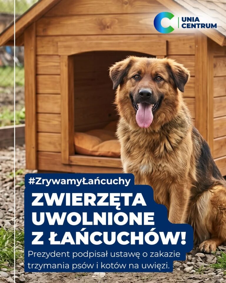 Prezydent podpisał zakaz trzymania psów na uwięzi - Paragraf