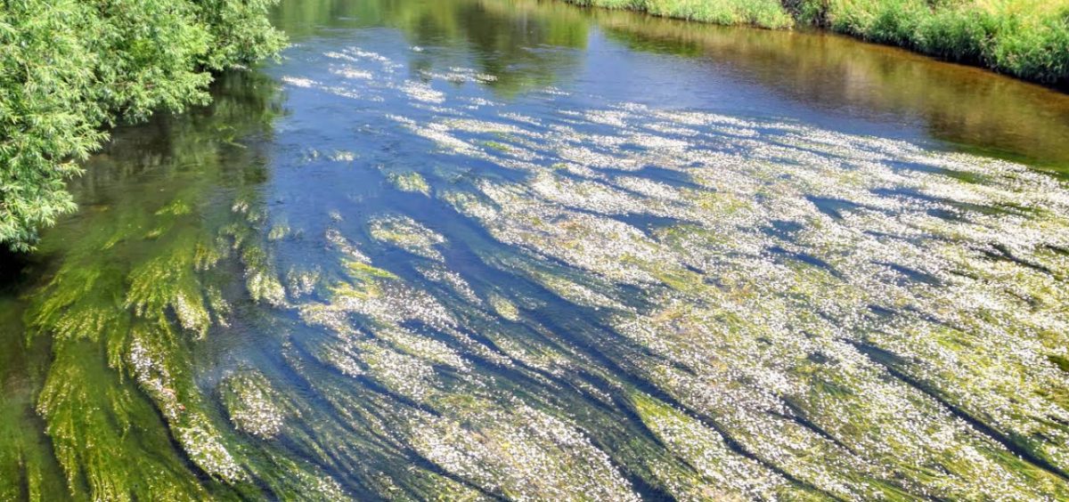 Obowiązuje zakaz korzystania z rzeki Bóbr - Paragraf