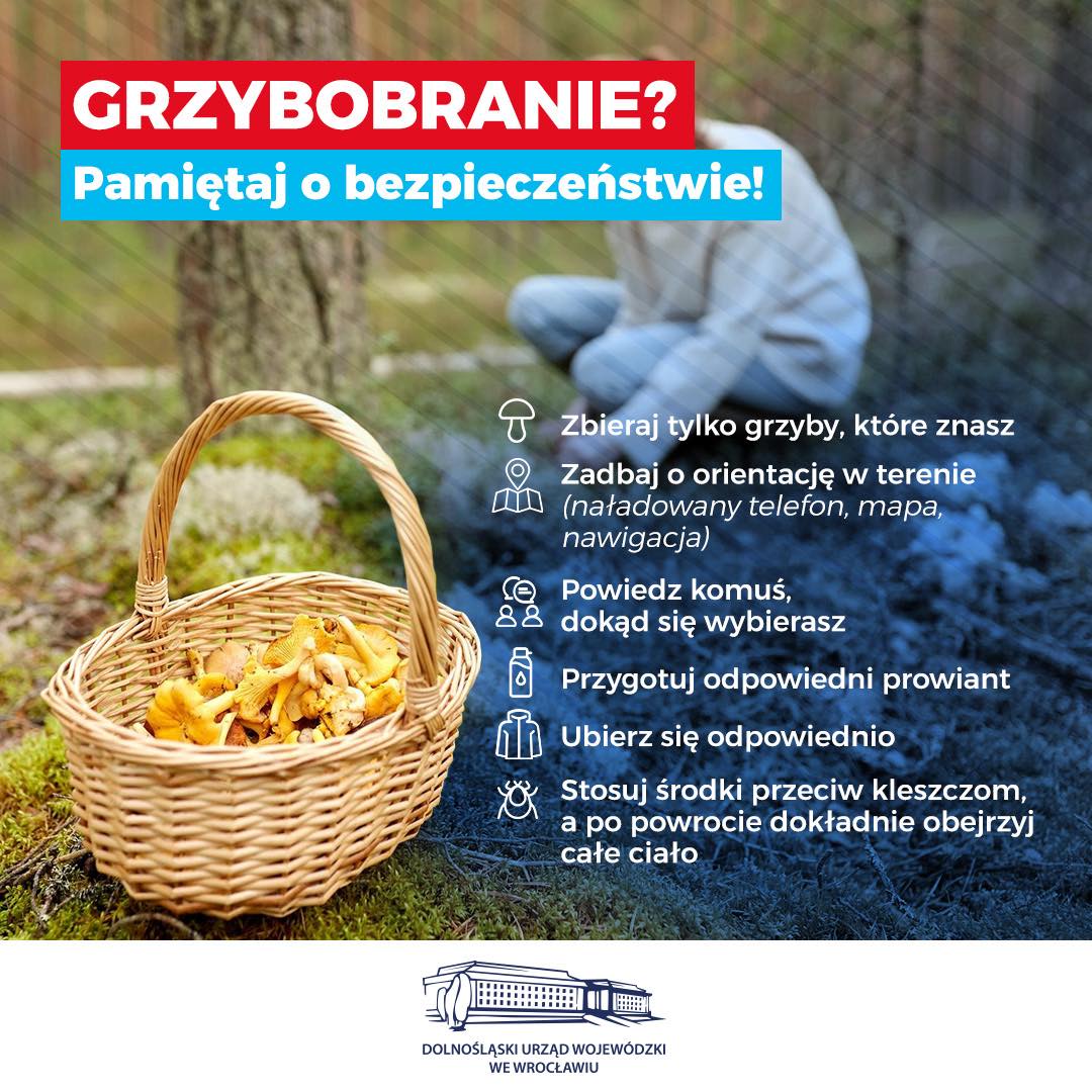 Zbieraj grzyby bezpiecznie na Dolnym Śląsku - Paragraf