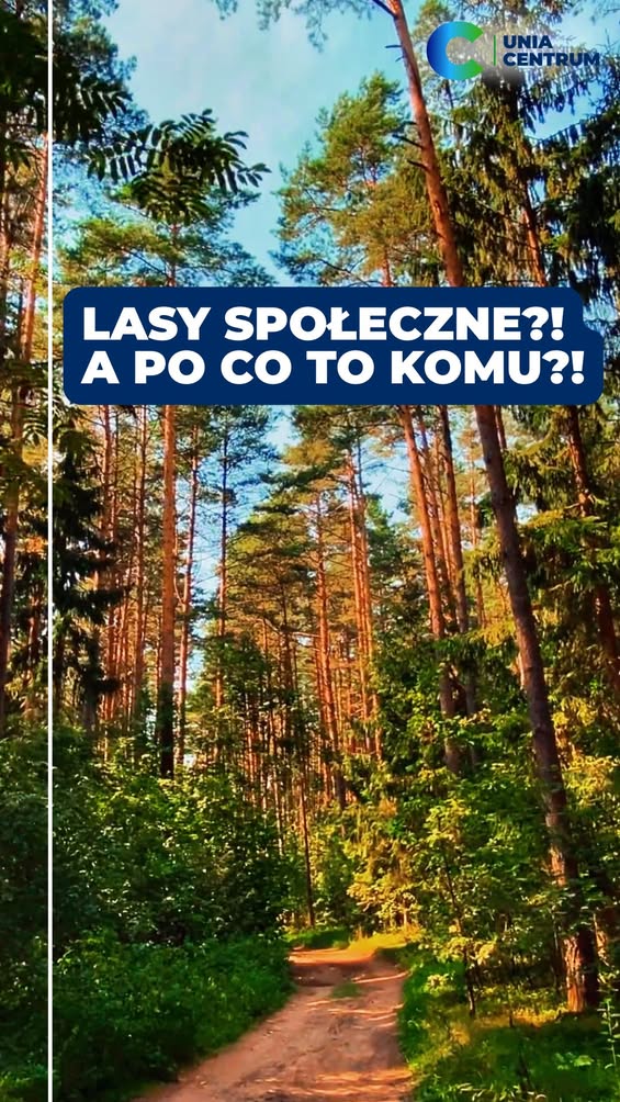 Unia Centrum stawia na Lasy Społeczne - Paragraf