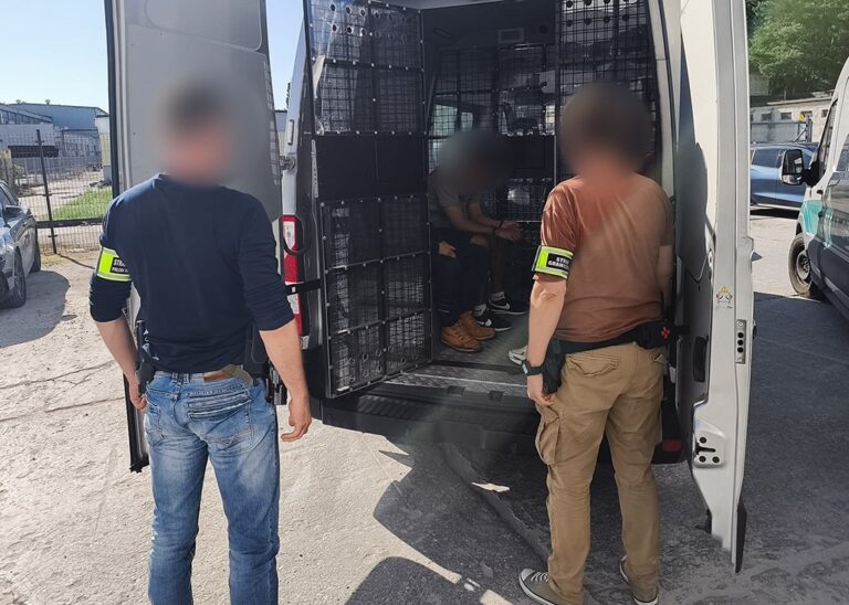 Służby zatrzymały 20 cudzoziemców w kujawsko-pomorskiem - Paragraf