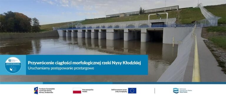 Ryby odzyskają wolność na Nysie Kłodzkiej - Paragraf