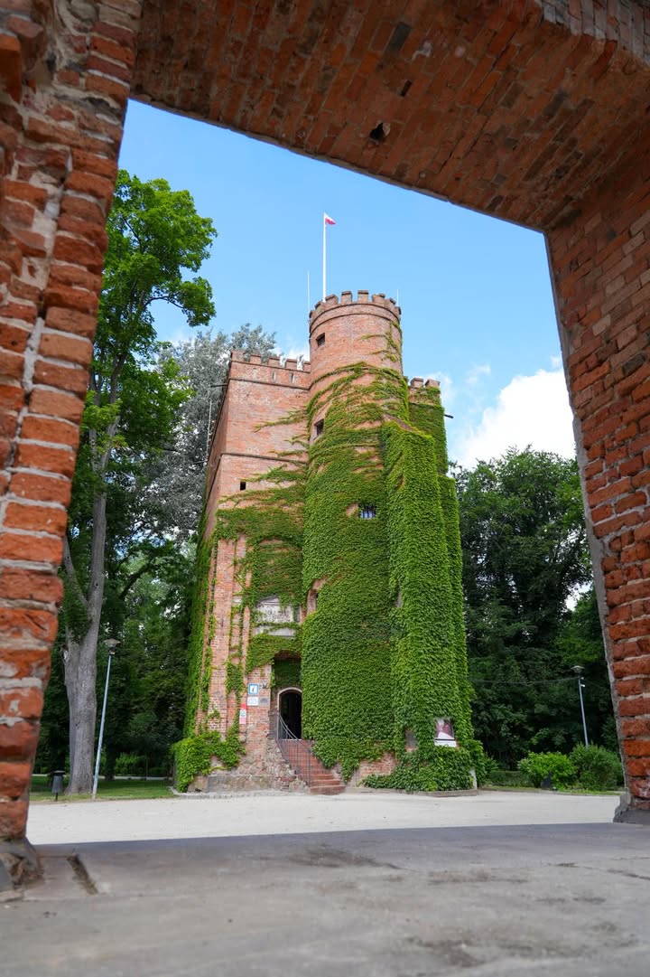 Budowla przetrwała 460 lat – zagadka z Dolnego Śląska - Paragraf