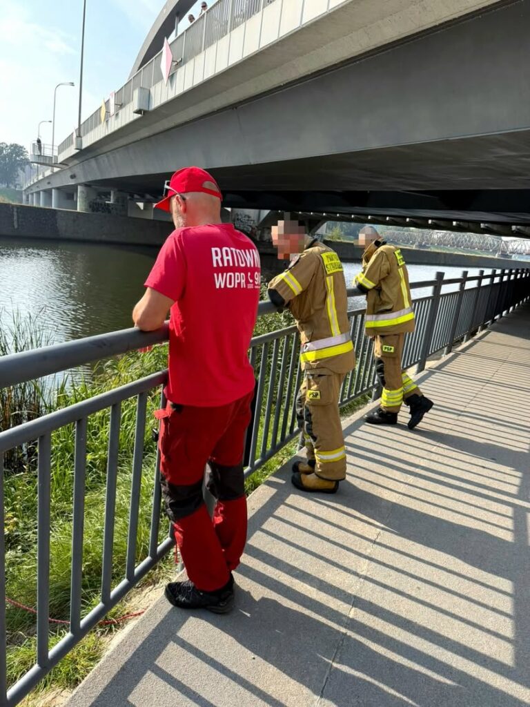 Wrocław: Myśleli, że to butla z gazem w Odrze - Paragraf