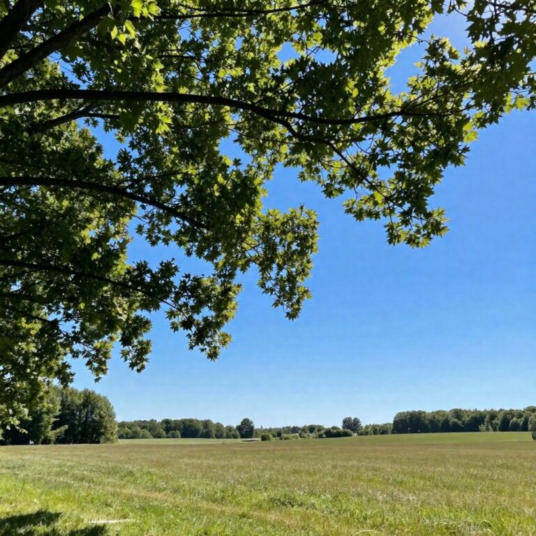 3277 odbiorców bez prądu na Dolnym Śląsku po wichurze - Paragraf